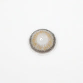Rome Gray Colored Contact Lenses